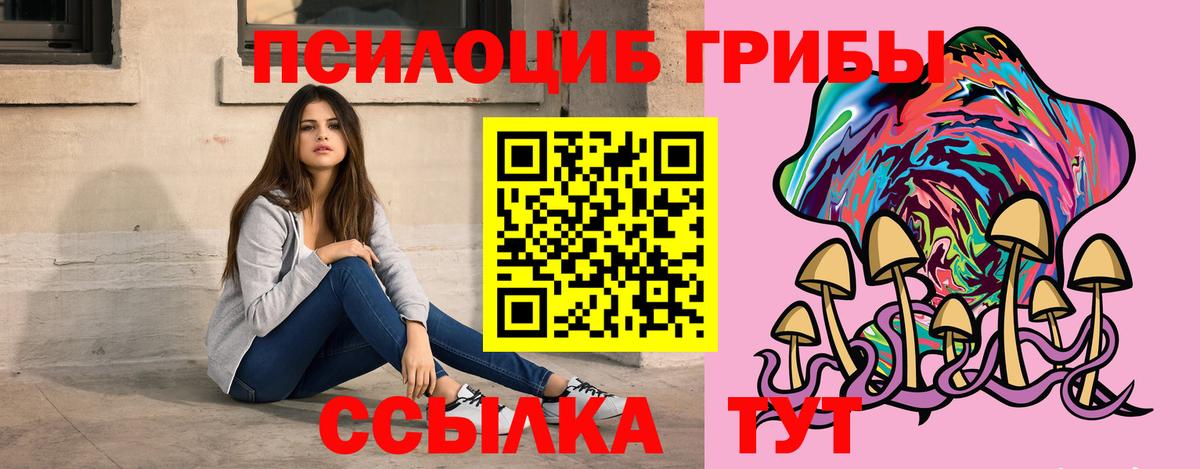 Галлюциногенные грибы Cubensis Миллерово